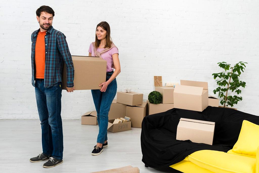 Organized living room with natural light and tidy shelves