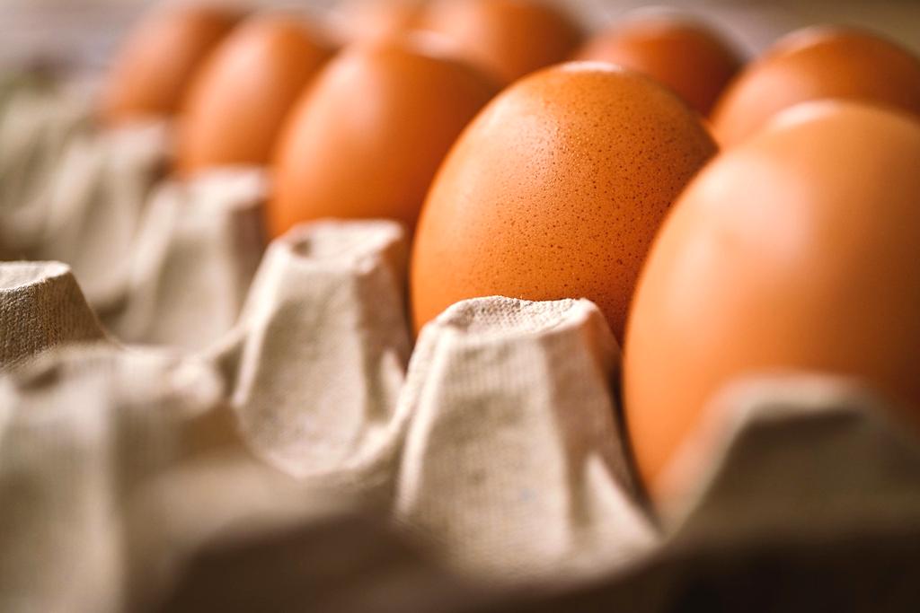 Neatly arranged shoe storage rack in entryway