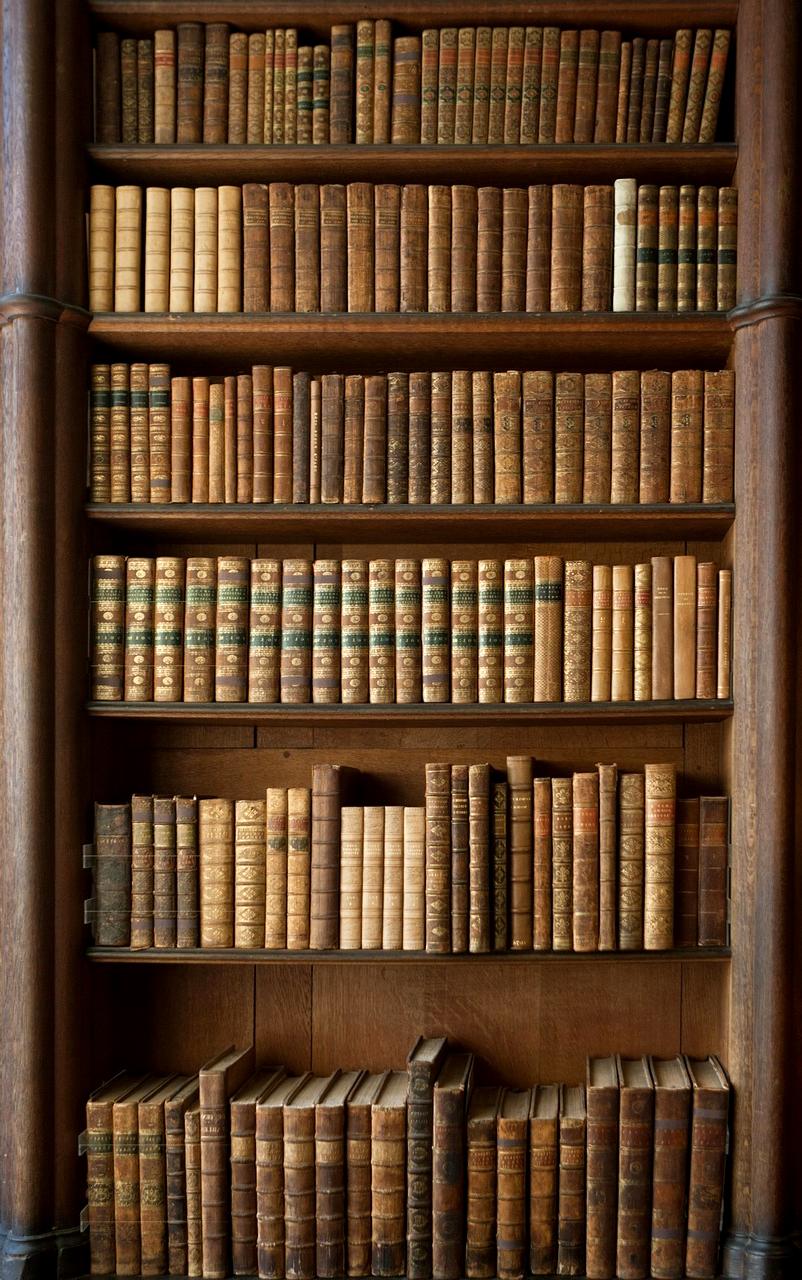 Person organizing shelves with colorful storage boxes