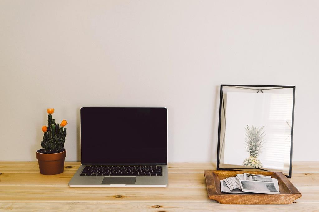 Calm and organized office environment with plants and natural light