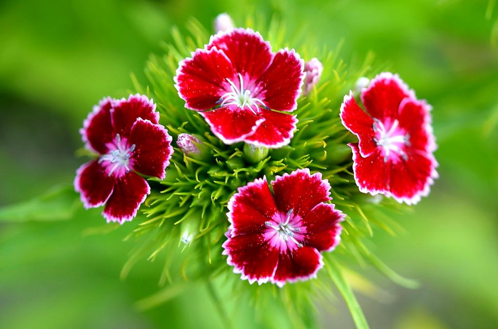 Cozy bedroom with tidy bed and bedside shelves